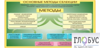 Стенд "Методы селекции и биотехнологии" - «globural.ru» - Ивантеевка