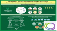 Стенд "Формы размножения организмов" - «globural.ru» - Ивантеевка