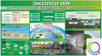 Стенд "Экология. Антропогенное воздействие на биосферу" - «globural.ru» - Ивантеевка