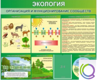 Стенд "Экология. Организация и функционирование сообществ" - «globural.ru» - Ивантеевка