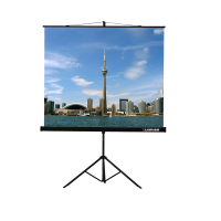 Проекционный экран на штативе Lumien Eco View (LEV-100105) 160x160 см - «globural.ru» - Ивантеевка