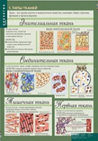 Биология 8-9 класс. Человек. (комплект таблиц) - «globural.ru» - Ивантеевка