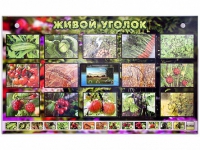 Комплект оборудования "Живой уголок" (растения) с тифлопереводом и сурдокомментариями - «globural.ru» - Ивантеевка