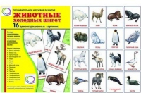 Демонстрационные карточки "Животные холодных широт" - «globural.ru» - Ивантеевка