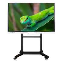 Интерактивный комплекс Geckotouch ​​​​​​​65RK - «globural.ru» - Ивантеевка