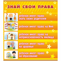 Стенд "Знай свои права" - «globural.ru» - Ивантеевка