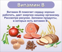 Стенд "Витамин В" - «globural.ru» - Ивантеевка