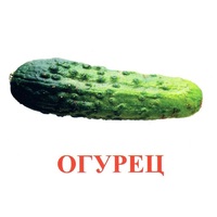 Карточки Домана "Овощи-Зелень-1" - «globural.ru» - Ивантеевка