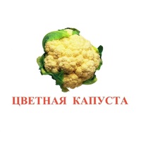 Карточки Домана "Овощи-Зелень-2" - «globural.ru» - Ивантеевка