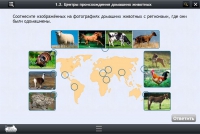 Интерактивные курсы. Биология 7 класс. Расширенный - «globural.ru» - Ивантеевка