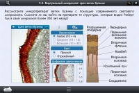 Интерактивные курсы. Биология 5 класс. Расширенный - «globural.ru» - Ивантеевка
