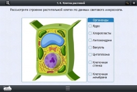 Интерактивные курсы. Биология 9 класс. Расширенный - «globural.ru» - Ивантеевка