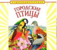 CD "Аудиоэнциклопедия. Городские птицы" - «globural.ru» - Ивантеевка