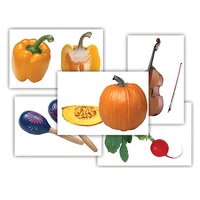 Набор предметных картинок "Овощи. Музыкальные инструменты" - «globural.ru» - Ивантеевка