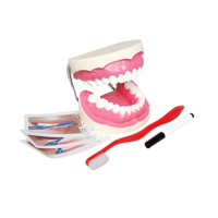 Игровой комплект "Чистим зубы" - «globural.ru» - Ивантеевка