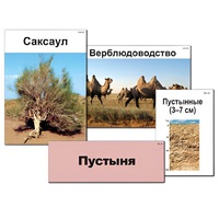 Модель-аппликация "Природные зоны России" - «globural.ru» - Ивантеевка