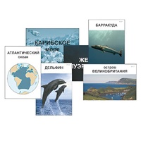 Модель-аппликация "Океаны. Знакомство" (ламинированная) - «globural.ru» - Ивантеевка