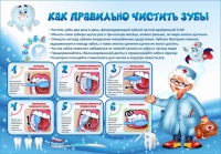 Стенд "Как правильно чистить зубы" - «globural.ru» - Ивантеевка
