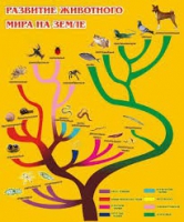 Стенд "Развитие животного мира на земле" - «globural.ru» - Ивантеевка