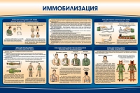 Стенд "Иммобилизация" - «globural.ru» - Ивантеевка