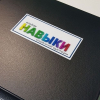 Навыки социальной адаптации. Развивающие пособие на липучках  - «globural.ru» - Ивантеевка