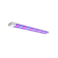 Фитолампа - «globural.ru» - Ивантеевка