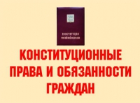 Комплект плакатов "Конституционные права и обязанности граждан" - «globural.ru» - Ивантеевка