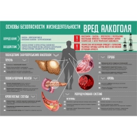 Стенд "Алкоголь" - «globural.ru» - Ивантеевка