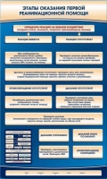 Электрифицированный стенд-тренажер "Этапы оказания первой реанимационной помощи" - «globural.ru» - Ивантеевка