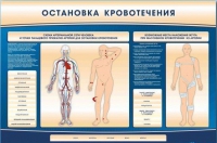 Электрифицированный стенд-тренажер "Остановка кровотечения" - «globural.ru» - Ивантеевка