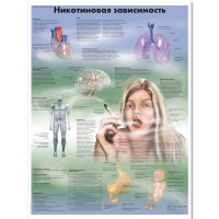 Плакат "Никотиновая зависимость", ламинированный, 50*67 см - «globural.ru» - Ивантеевка