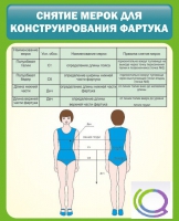 Стенд "Снятие мерок для конструирования фартука" - «globural.ru» - Ивантеевка