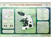 Электрифицированный стенд "Устройство микроскопа и правила работы c ним" - «globural.ru» - Ивантеевка