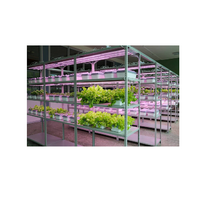 Обучающий комплект "АГРОкласс" - «globural.ru» - Ивантеевка