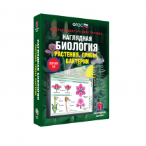 Наглядная биология. Растения. Грибы. Бактерии - «globural.ru» - Ивантеевка