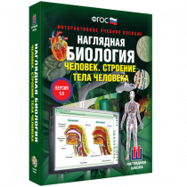 Наглядная биология. Человек. Строение тела человека - «globural.ru» - Ивантеевка