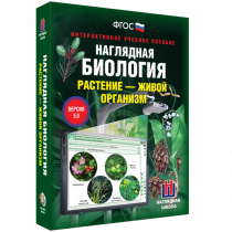 Наглядная биология. Растение - живой организм - «globural.ru» - Ивантеевка
