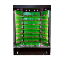 Вертикальная ферма "Моя Микрозелень" комплектация "Театро настольная" - «globural.ru» - Ивантеевка