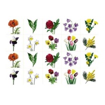 Комплект карточек. Серия наглядных пособий "Запоминай, играй, считай". Цветы. - «globural.ru» - Ивантеевка