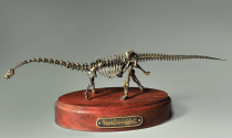 Модель скелета динозавра Diplodocus  (вариант 2) - «globural.ru» - Ивантеевка