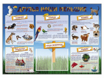 Стенд-уголок "Друзья наши меньшие" - «globural.ru» - Ивантеевка