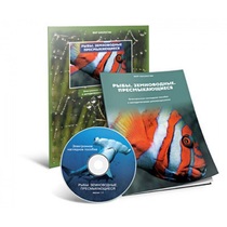 Электронное наглядное пособие «Рыбы. Земноводные. Пресмыкающиеся» - «globural.ru» - Ивантеевка