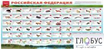 Стенд "Красная книга РФ" - «globural.ru» - Ивантеевка