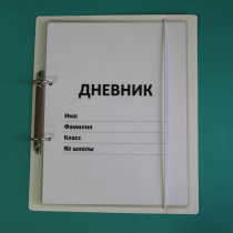 Дневник школьника (с полным набором карточек) - «globural.ru» - Ивантеевка