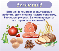 Стенд "Витамин В" - «globural.ru» - Ивантеевка