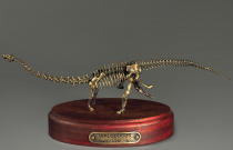 Модель скелета динозавра Diplodocus (вариант 1) - «globural.ru» - Ивантеевка