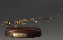 Модель скелета мозазавра Mosasaurus - «globural.ru» - Ивантеевка