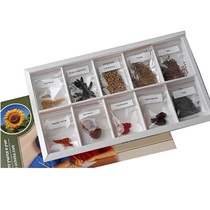 Коллекция "Плоды сельскохозяйственных растений" (вариант 2) - «globural.ru» - Ивантеевка