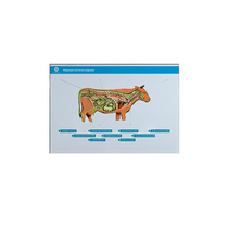 Стенд-планшет светодинамический "Изучение нервной системы сельскохозяйственных животных" со сменными панелями - «globural.ru» - Ивантеевка