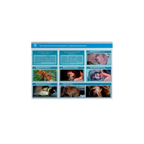 Стенд-планшет светодинамический "Изучение типических патологических процессов в организмах животных" - «globural.ru» - Ивантеевка